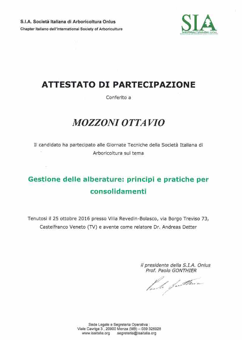 Detter Consolidamenti 2016