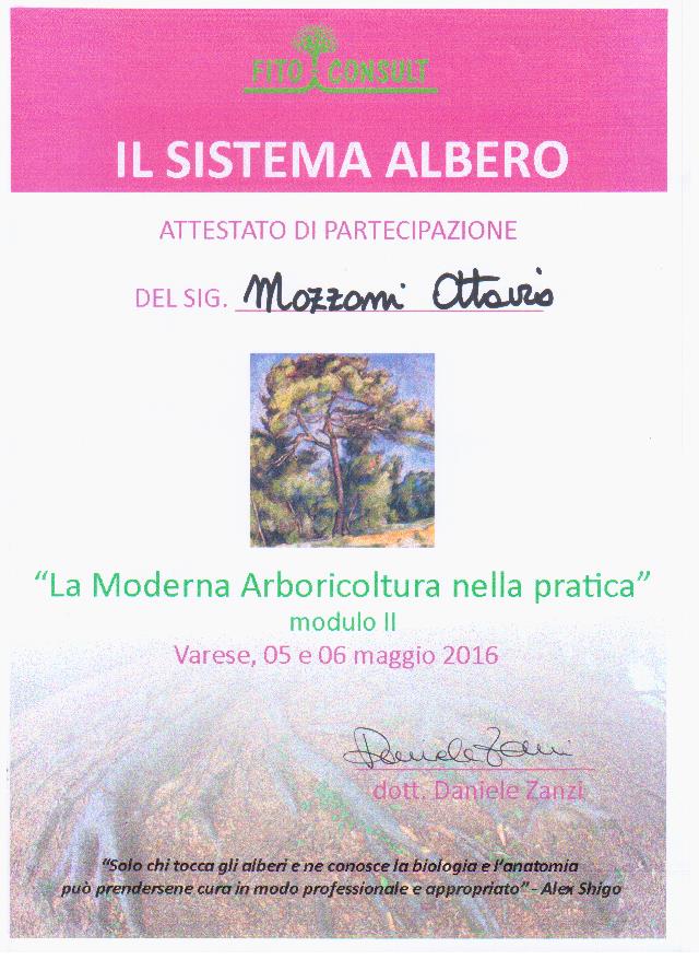 Sistema Albero Zanzi II