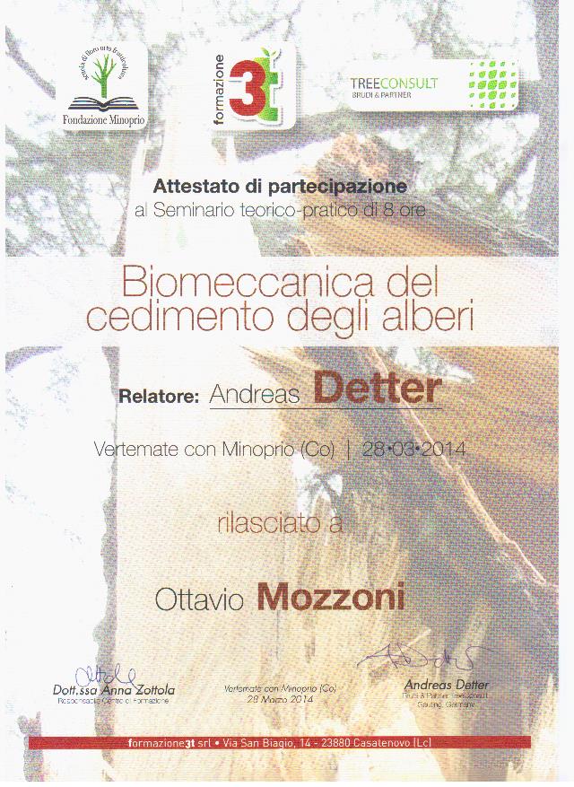 La Biomeccanica degli alberi con Andrea Detter