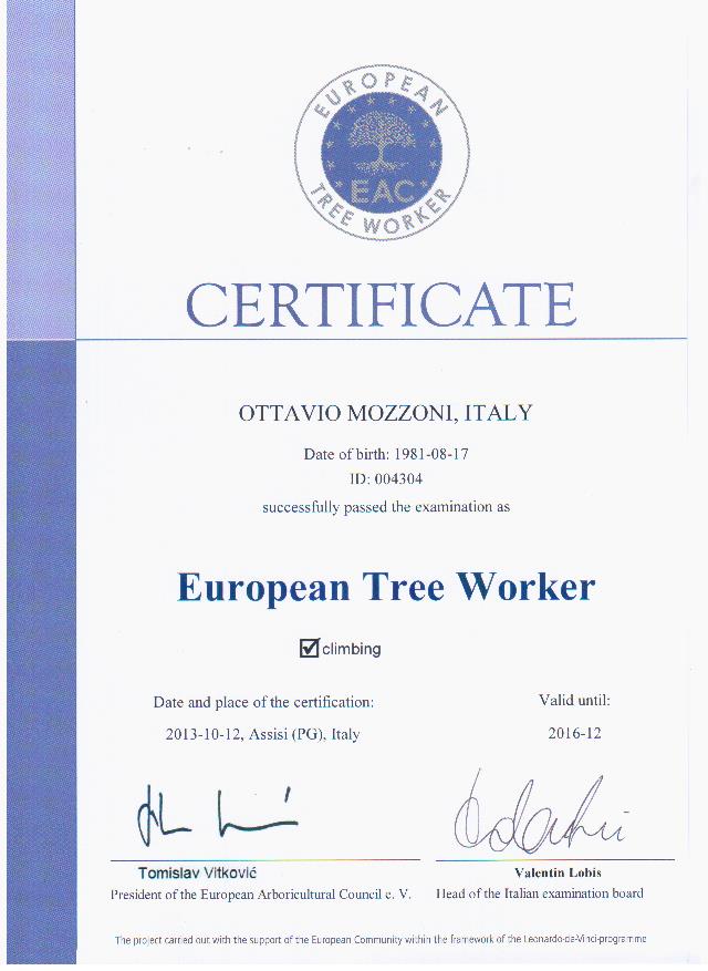 European Tree Worker