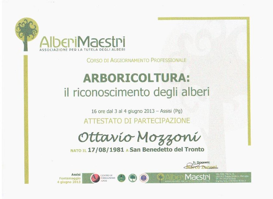 Riconoscimento degli Alberi