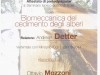 La Biomeccanica degli alberi con Andrea Detter