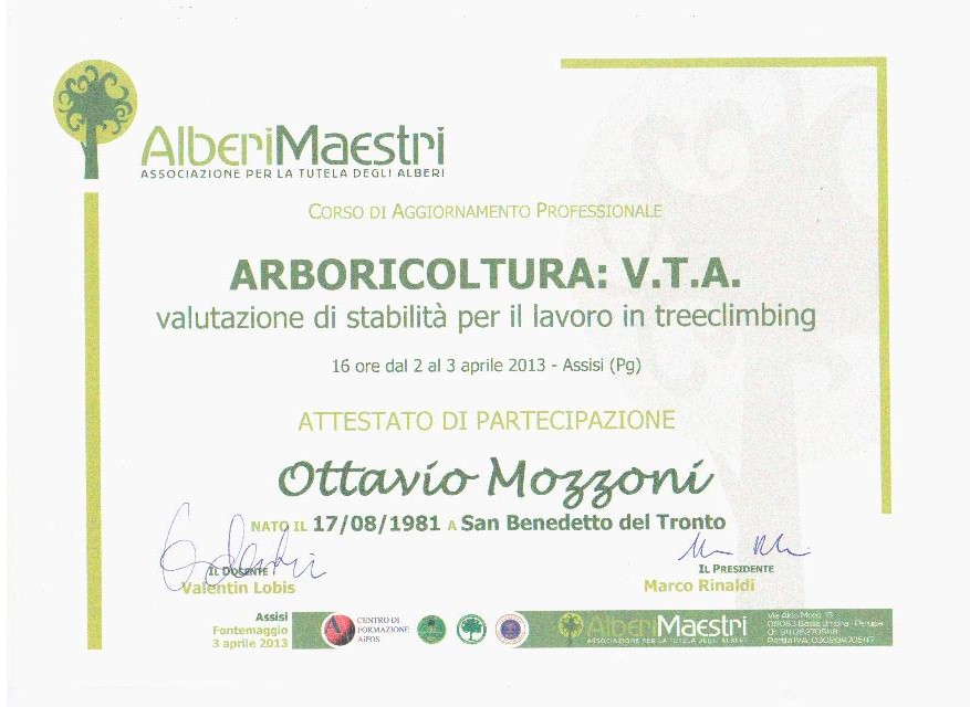 VTA per Tree Climbing