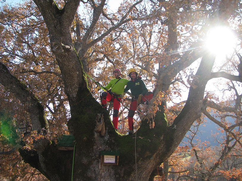 MR GREEN - Sacra Quercia di Barete