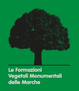 Alberi monumentali delle Marche