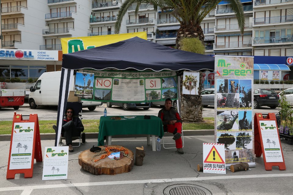 MR GREEN - Porto Recanati in Fiore